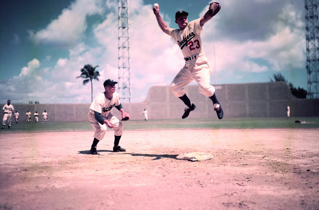 Don Zimmer, Who Lived Baseball for 66 Years, Dies at 83 - The New York Times