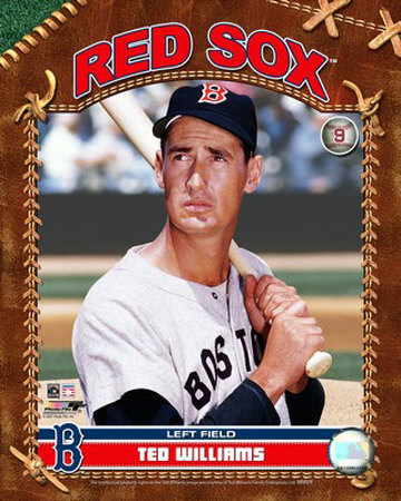 Ted Williams Stats