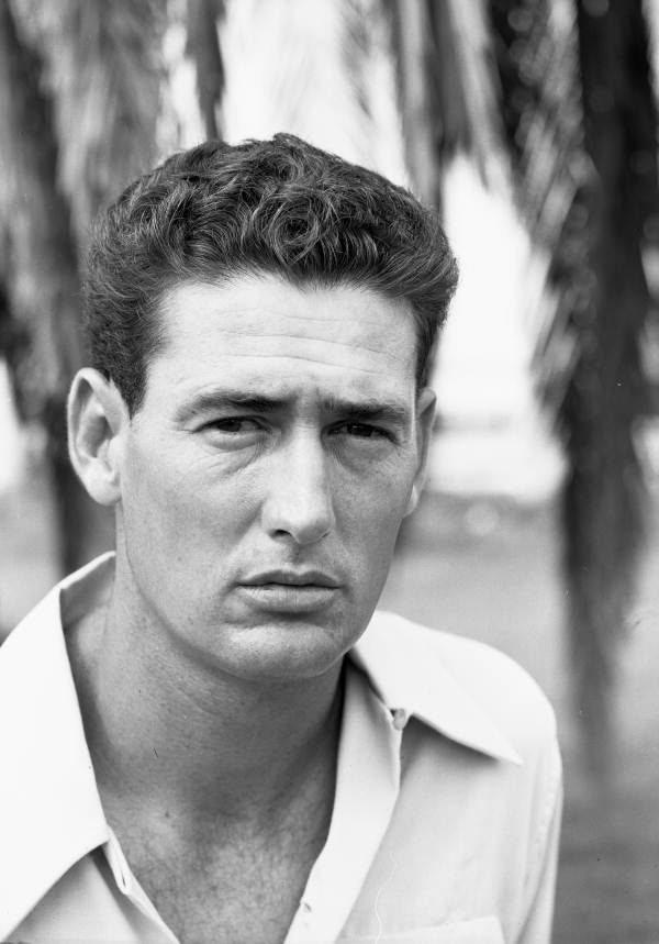 Ted Williams, by the numbers – New York Daily News