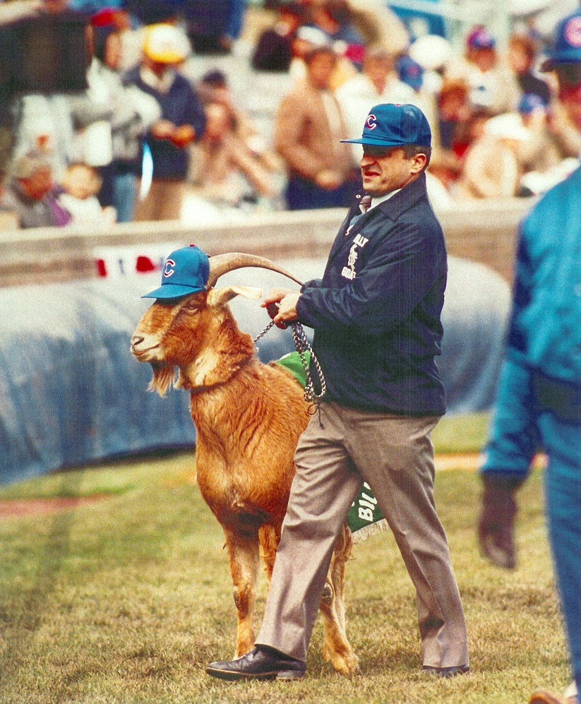 Breaking Billy Goat: World Series Gear For Cubs Fans - Parade